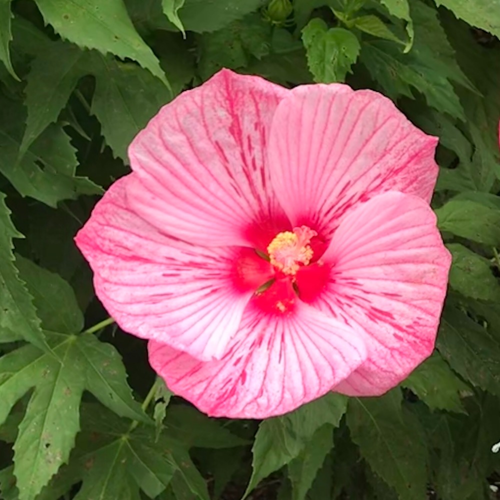 Bundle three items and I’ll make you a deal!!